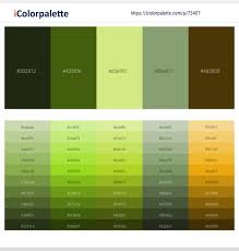 • do we all see the same colours? 1 Latest Color Schemes With Black Olive And Yellow Green Color Tone Combinations 2021 Icolorpalette