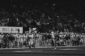 Seth Witt (@SethWitt5)