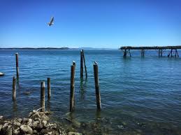 Summer Weather Is Finally Here I Ve Had Enough Of Junuary Already Nothing But Sun And Warm Temps For The Next 10 Vancouver Island Photo Pacific Northwest