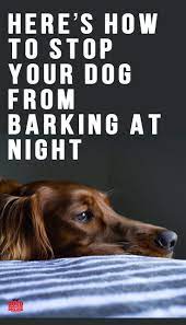 Maybe you would like to learn more about one of these? How To Get Your Dog To Stop Barking At Night Time Good Doggies Online Dog Barking At Night Luxury Dog Collars Dog Training