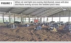 Compost bins are an easy option for collecting organic waste in your home to later turn into compost. Air And Light Considerations For Compost Bedded Pack Barns Vaca