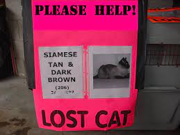 To claim him, contact the pei humane society by dec. To Reward Or Not To Reward That Is The Question Missing Animal Response Network