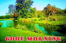 Nice Nature Good Morning Profile Images Hd Download Good Morning Images Good Morning Nature Good Morning Nature Images
