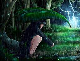 In mystery dungeon, items play a very important role to assist your advance. Hd Rain Forest Animal Wallpapers Peakpx