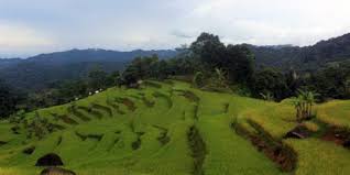 | enigma ride episode citalahab. Desa Wisata Malasari Tempat Wisata Alam Di Bogor Yang Terbaik