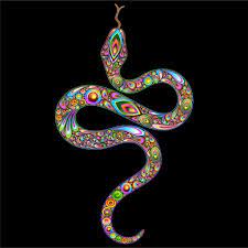 Understanding The Role Of The Curandero Pulse Tours Arkana Ayahuasca Retreat Psychedelic Art Snake Art Kundalini Tattoo