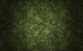Tons of awesome camo background to download for free. High Resolution Camo Wallpaper 4k Savannah Wallpaper