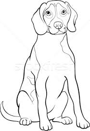 Beagle is a type of dog that has existed in the united kingdom from early to mid 1500s, used to hunt rabbits and guinea pigs. Beagle Dog Cartoon For Coloring Book Vector Illustration C Izakowski 2464896 Stockfresh