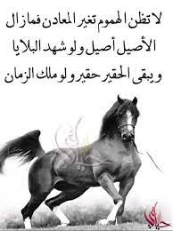 20:46:14 عاشقه نجمات العراق اصيل هميم. Rola Al Zahabi On Twitter Ø§Ù„Ø£ØµÙŠÙ„ Ø§ØµÙŠÙ„ ÙˆØ§Ù„Ø­Ù‚ÙŠØ± Ø­Ù‚ÙŠØ±