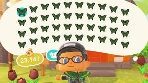 Check spelling or type a new query. Animal Crossing New Horizons Selling Full Inventory Of Peacock Butterfly Youtube