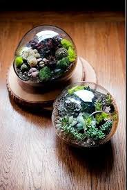 I M Currently Obsessed With Terrariums Must Make One For Our Living Room And Hope That It Doesn T Die On Terrarium Terrarium Centerpiece Succulent Terrarium