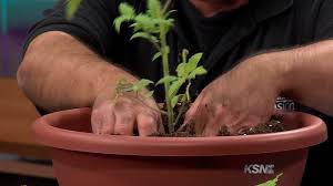 Robert Balek: Gardening with kids