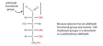 For this sample label, you would divide six by 28 to get 0.214. Carbohydrates