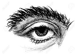 Then, i mimic this alignment in my drawing. Pencil Drawing Of An Eye With Thick Eyebrow And Heavy Eyelid Royalty Free Cliparts Vectors And Stock Illustration Image 61724926