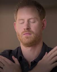 Harry is the worst advert for therapy