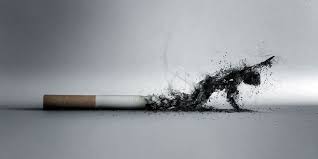 Dear editor, world no tobacco day is observed around the world every year on 31 may. Why Is World No Tobacco Day Celebrated And Its History Kids Portal For Parents