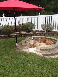 34 Simple Diy Playground Ideas For Dogs Home Design And Interior Dog Friendly Backyard Dog Backyard Dog Playground