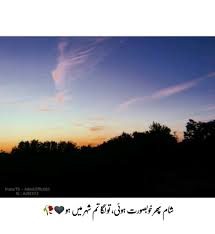 Urdu Urdu Funny Poetry Poetry Words Urdu Love Words