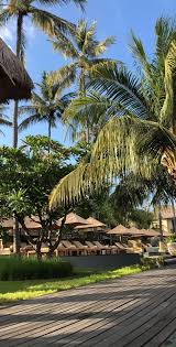 Pemandangan pohon kelapa gambar unduh gratis foto 100077768 format. Pin Oleh Vickyimhoff Di Wanderer Fotografi Alam Fotografi Abstrak Pemandangan