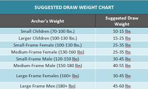 Best Arrows To Use With A Recurve Bow Update 2020