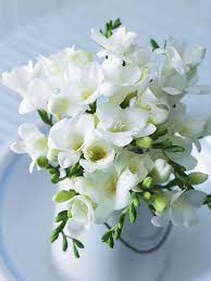 Pin By Atia On Quotes Freesia Flowers Freesia Bouquet Pretty Flowers