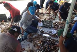 Four crewmen on a malaysian department of fisheries (jabatan perikanan malaysia; Protecting Endangered Sea Turtles In Malaysia