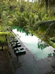 Lap Pool In Bali Schwimmbad Designs Gartenpools Im Freien