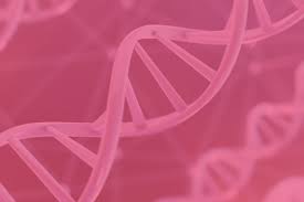 But a positive result doesn't mean you're certain to develop cancer. The Breast Cancer Genes You Haven T Yet Heard Of