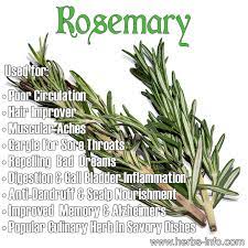 Quotes The Name Rosemary Quotesgram