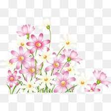 Beautiful Fresh Spring Flowers Spring Flowers Clipart Spring Fresh Png Transparent Clipart Image And Psd File For Free Download Free Watercolor Flowers Flower Png Images Spring Flowers