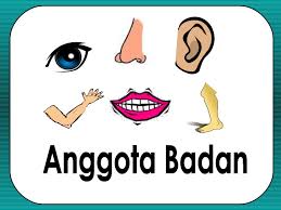 Bahasa malaysia prasekolah latihan buah | free worksheets samples. Dunia Tema