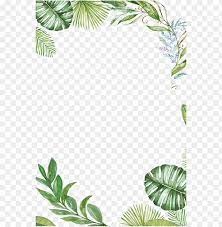 Tropical Leaves Frame Png Image With Transparent Background Png Free Png Images Flower Frame Png Painted Leaves Tropical Leaves