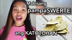 ASIN AT DAHON NG LAUREL mga, EFFECTIVE na pampaSWERTENG hatid sa TAHANAN