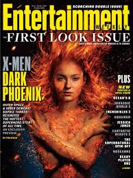 She made her television debut in hbo's game of thrones as sansa stark. Sophie Turner Source