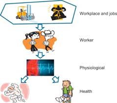 Work Related Musculoskeletal Disorder An Overview Sciencedirect Topics
