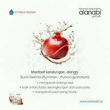 Https Bit Ly 2mrw9lz Buah Herbal Delima