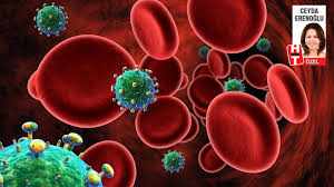 Hangi Kanser Turu Hangi Belirtilerle Ortaya Cikiyor Saglik Haberleri