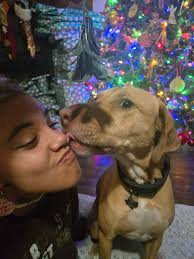 Lost Kitten in Lakeland Highlands, FL