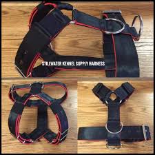 Heavy Duty Collars And Harnesses For Pit Bulls And Other Large Working Breeds Pitbull Dog Pitbull American Pitbull Terrier Apbt Dog Supplies Pet Suppli Perros