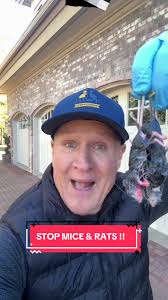 Prevent Toilet Clogs Effectively with This Device