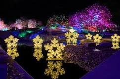 The 28 Best Christmas Light Displays + Tours