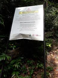 Verified reviews · low price guarantee · a tripadvisor company File Taman Negara National Park 20190711 105122 Jpg Wikimedia Commons