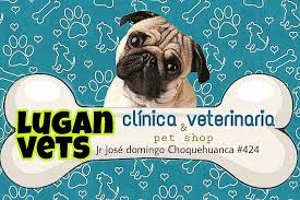 LUGAN VETS Clínica Veterinaria