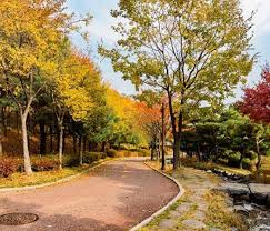 Entah itu mengkamulkan tur maupun pergi sendiri. Songhyeon Geunrin Park ì†¡í˜„ê·¼ë¦°ê³µì› Trazy Korea S 1 Travel Shop