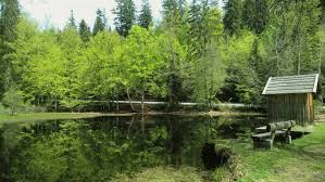 Die messstation des bgr im bayerischen wald ist teil eines internationalen überwachungsnetzes, das unter anderem nukleare explosionen aufspüren soll. Zum Latschen In Mauth Geeignet Fur Jede Jahreszeit