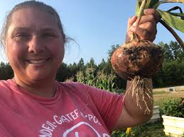 First Time Growing Onions in Zone 6b Garden