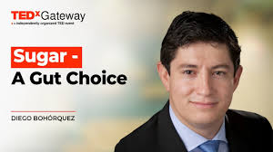 A scientist explores the mysteries of the gut-brain connection