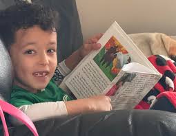 Bluesky Bed & Sled & Bluesky Expeditions