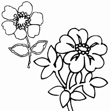 If you need inspiration for what colors to use, you can take a look at the page flower clipart, where some of these drawings are colored. Big Flower Coloring Pages Duathlongijon Coloring Blog Flower Coloring Pages Big Flowers Coloring Pages