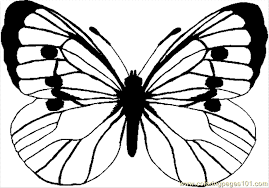 Big Coloring Pages Of Animals Printable Coloring Page Color Butterfly4 Big Animals B Butterfly Coloring Page Butterfly Line Drawing Butterfly Clip Art
